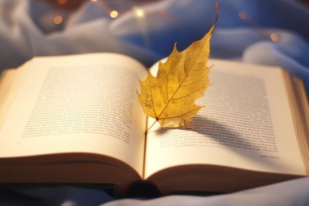 急求!有没有人知道今年东华大学动画专业的综合分分数线是多少?