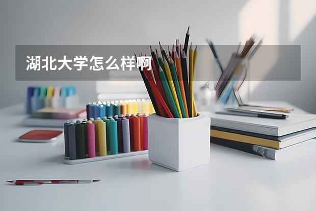 湖北大学怎么样啊