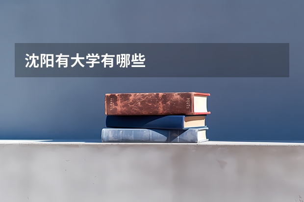沈阳有大学有哪些