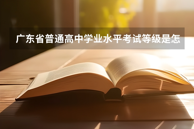 广东省普通高中学业水平考试等级是怎么划分的