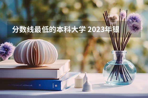 分数线最低的本科大学 2023年银川能源学院艺术类录取规则