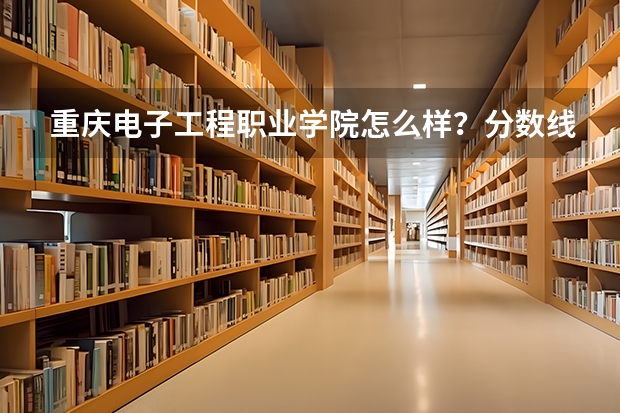 重庆电子工程职业学院怎么样？分数线是多少啊？