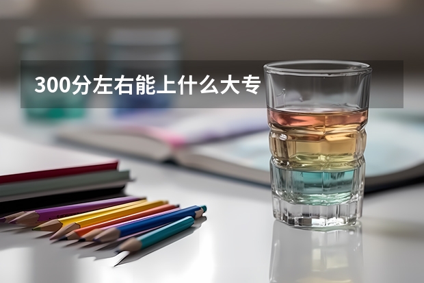 300分左右能上什么大专