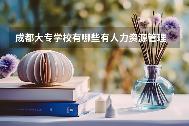 成都大专学校有哪些有人力资源管理