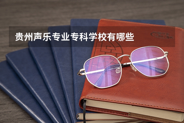 贵州声乐专业专科学校有哪些