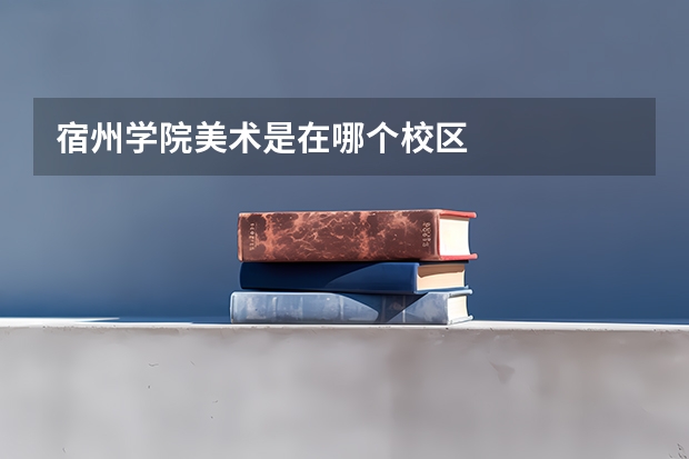宿州学院美术是在哪个校区