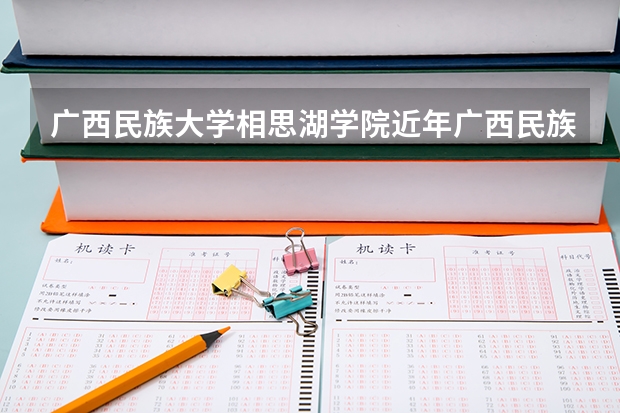 广西民族大学相思湖学院近年广西民族大学相思湖学院录取分数线 09湖南高考各高校三本录取分数线..