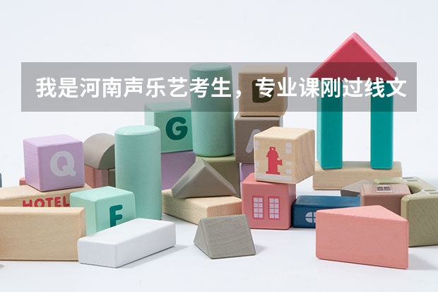 我是河南声乐艺考生，专业课刚过线文化课要多少分才能上一本？