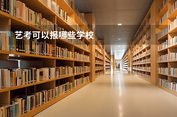 艺考可以报哪些学校