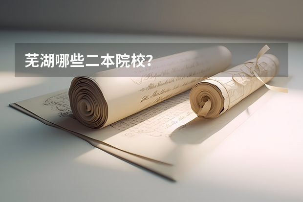 芜湖哪些二本院校？