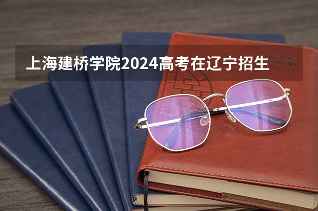 上海建桥学院2024高考在辽宁招生计划介绍