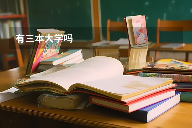 有三本大学吗