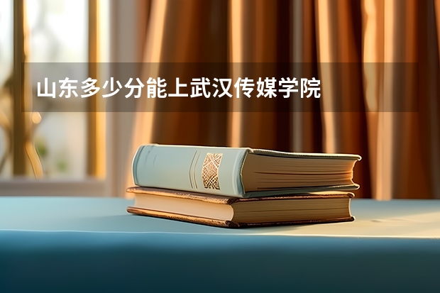 山东多少分能上武汉传媒学院