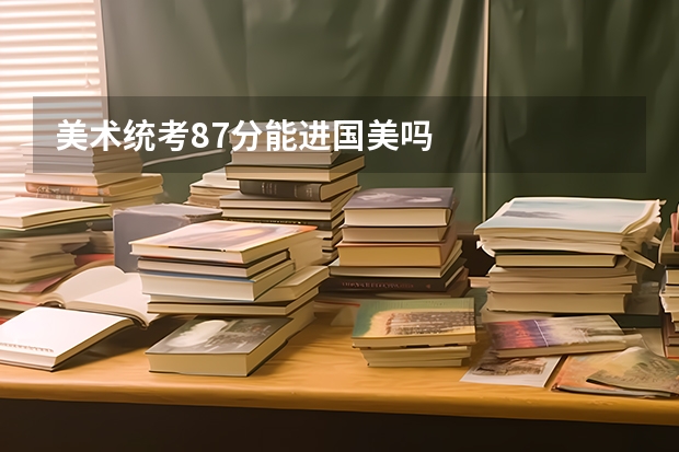 美术统考87分能进国美吗