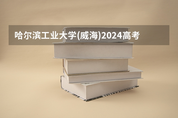 哈尔滨工业大学(威海)2024高考在安徽招生计划介绍