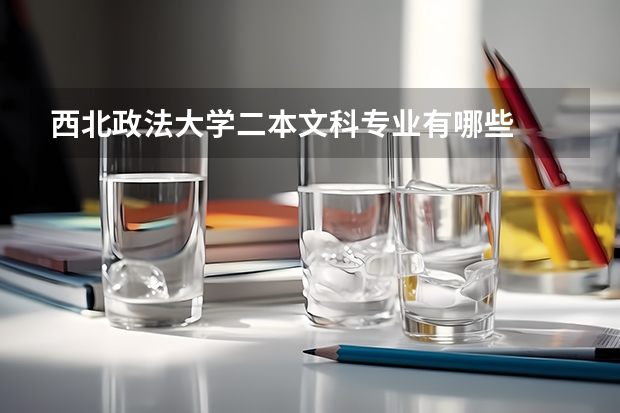 西北政法大学二本文科专业有哪些