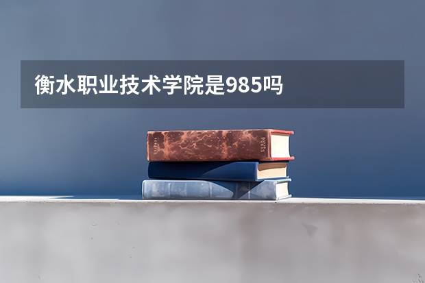 衡水职业技术学院是985吗