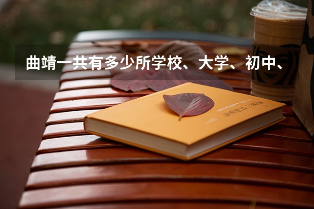 曲靖一共有多少所学校、大学、初中、技校之类