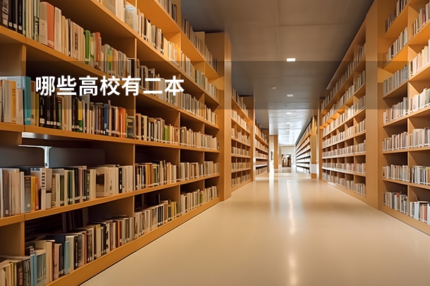 哪些高校有二本