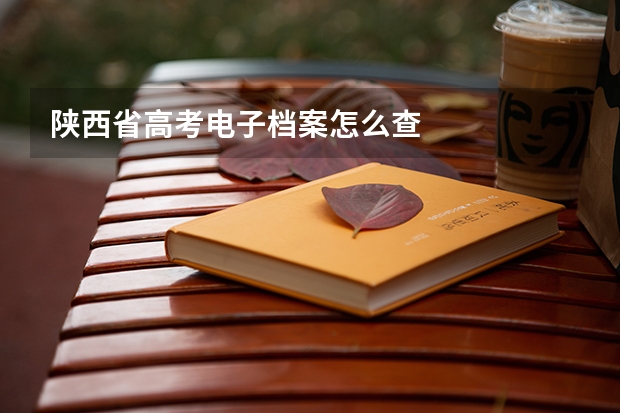 陕西省高考电子档案怎么查
