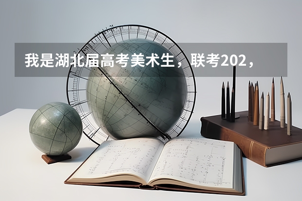 我是湖北届高考美术生，联考202，文化课310多分，校考没过，大概可以考哪些2本学校？谢谢