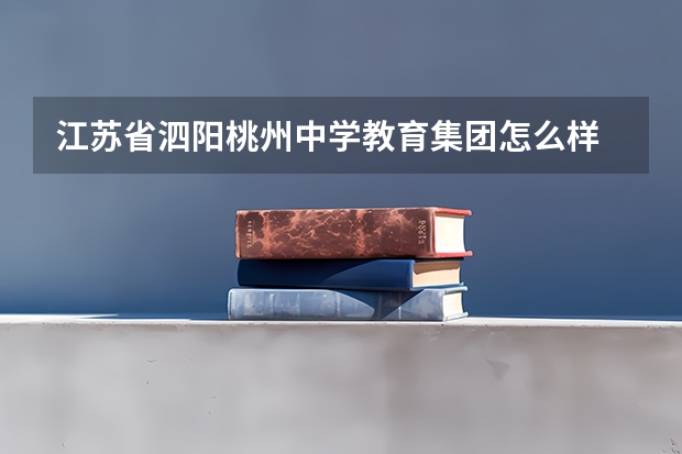 江苏省泗阳桃州中学教育集团怎么样