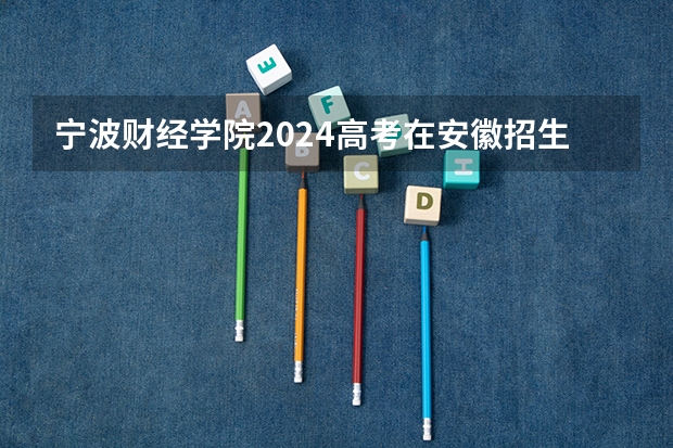 宁波财经学院2024高考在安徽招生计划介绍
