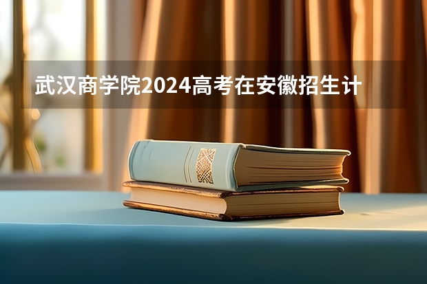 武汉商学院2024高考在安徽招生计划介绍