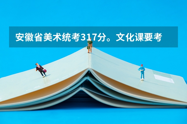 安徽省美术统考317分。文化课要考多少,大概能上一本？