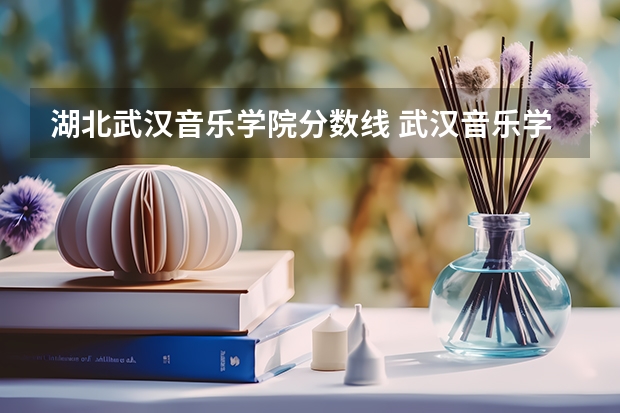 湖北武汉音乐学院分数线 武汉音乐学院分数线