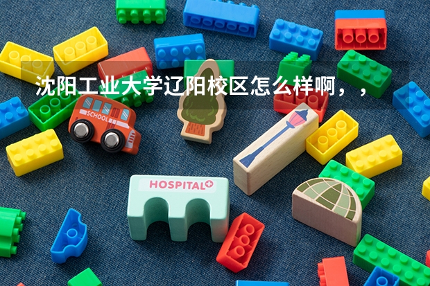 沈阳工业大学辽阳校区怎么样啊，，
