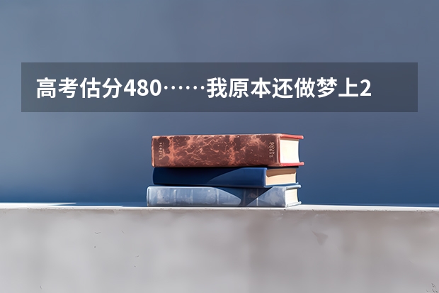 高考估分480……我原本还做梦上2本呢…………