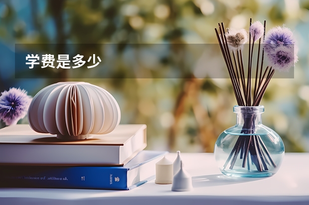 学费是多少