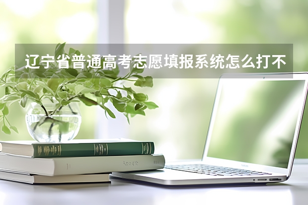 辽宁省普通高考志愿填报系统怎么打不开