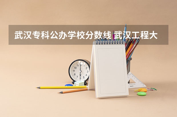 武汉专科公办学校分数线 武汉工程大学专科分数线