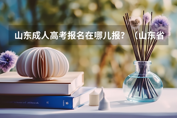 山东成人高考报名在哪儿报?(山东省成人高考报名入口在哪?)