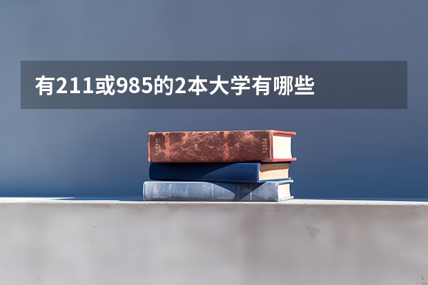 有211或985的2本大学有哪些