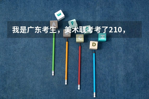 我是广东考生，美术联考考了210，高考文化科考了510，能读什么大学啊？最好是广东省的