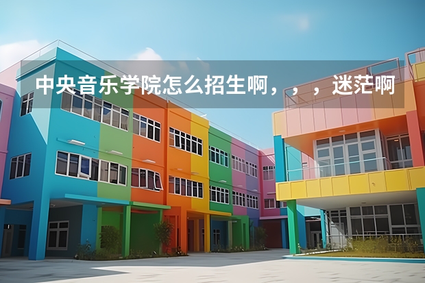 中央音乐学院怎么招生啊，，，迷茫啊