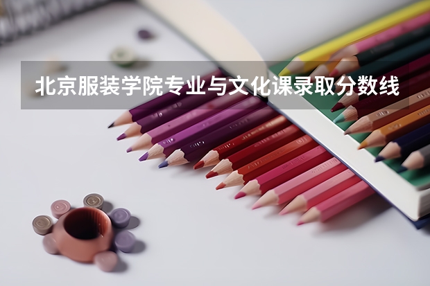北京服装学院专业与文化课录取分数线历年多少?