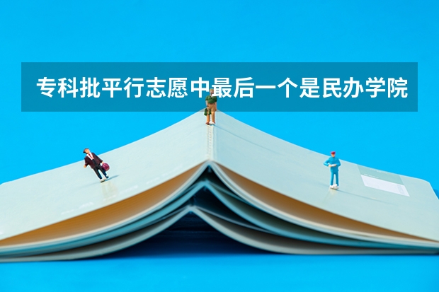 专科批平行志愿中最后一个是民办学院的话会被优先录取吗？