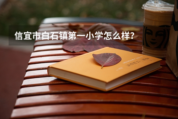 信宜市白石镇第一小学怎么样？