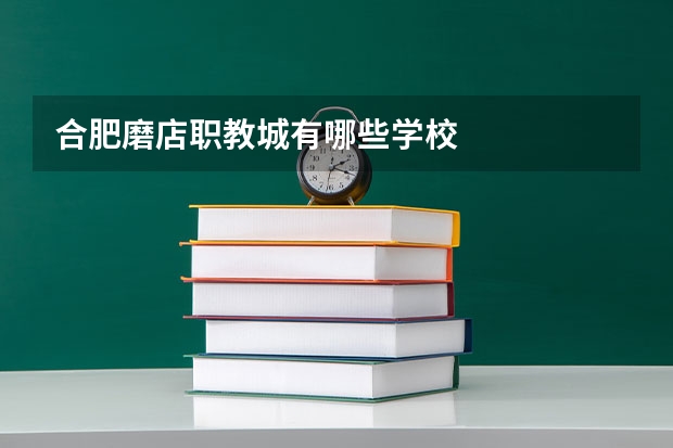 合肥磨店职教城有哪些学校