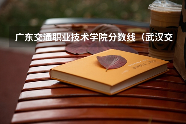 广东交通职业技术学院分数线（武汉交通职业技术学院录取分数线）