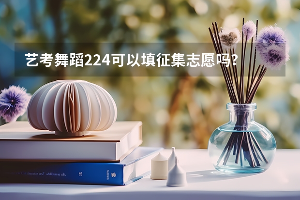 艺考舞蹈224可以填征集志愿吗？