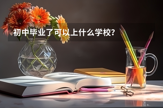 初中毕业了可以上什么学校？