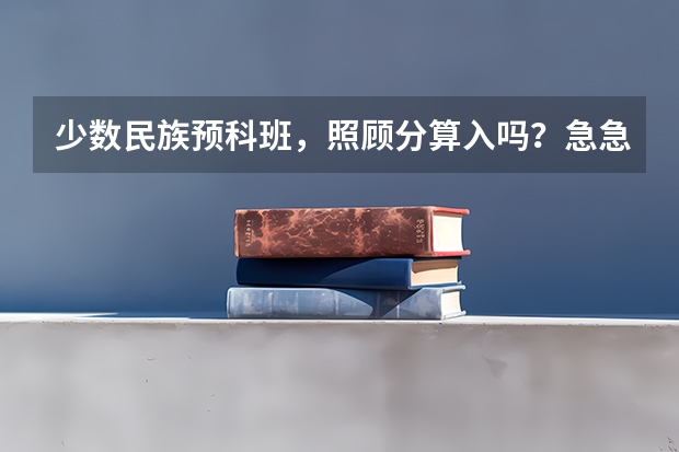 少数民族预科班,照顾分算入吗?急急急(加分)