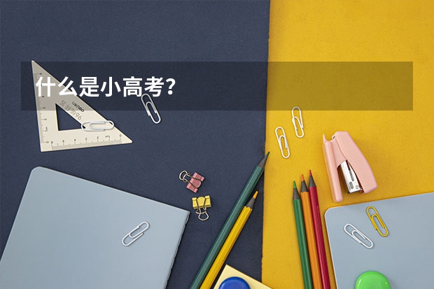 什么是小高考?