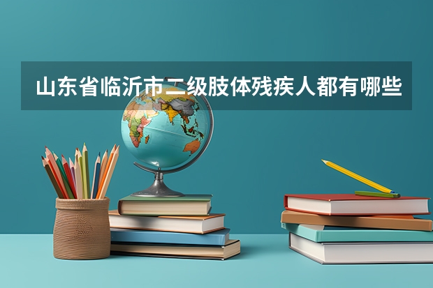 山东省临沂市二级肢体残疾人都有哪些补助