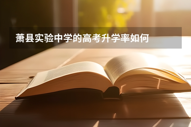 萧县实验中学的高考升学率如何